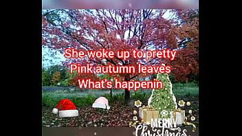 Riproduci Testo di "alberi invernali piuttosto marroni con foglie rosa" (canta con voce extraterrestre senza toccarsi)
